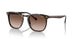 W65613 - Havana - Brown Gradient