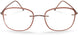 6040 - Bronze / Brown