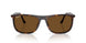 902/57 - Tortoise - Brown Polar
