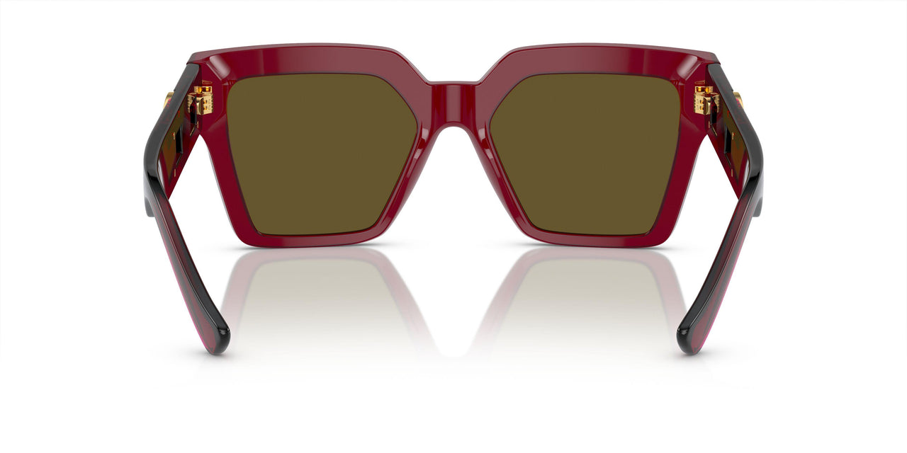 543073 - Red - Dark Brown