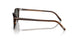 1724P1 - Brown - Green Polarized