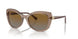 2940T5 - Brown - Polarized Brown Gradient