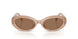 304273 - Brown - Dark Brown