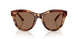 346273 - Tortoise - Dark Brown
