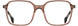 STATE Optical Co. GERMANIA Eyeglasses