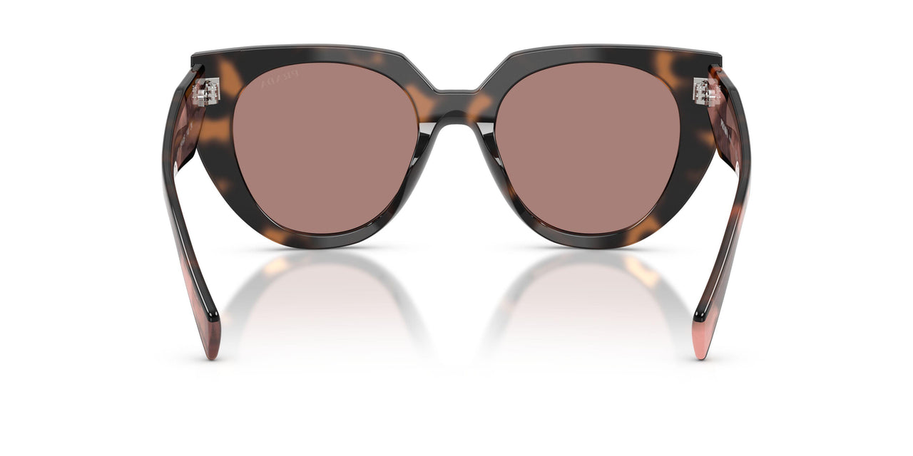 23A60B - Tortoise - Light Brown