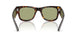 902/4E - Tortoise - Bottle Green