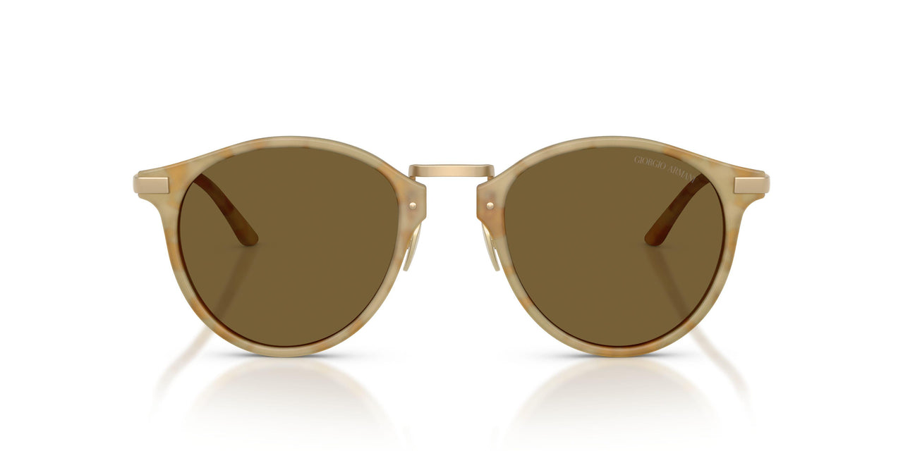 630073 - Beige - Dark Brown