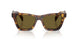 14L09Z - Tortoise - Dark Brown