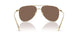 301373 - Gold - Dark Brown