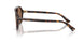 500273 - Tortoise - Dark Brown