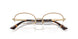 3019 - Brown