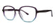 Modern Plastics II PLAZA Eyeglasses