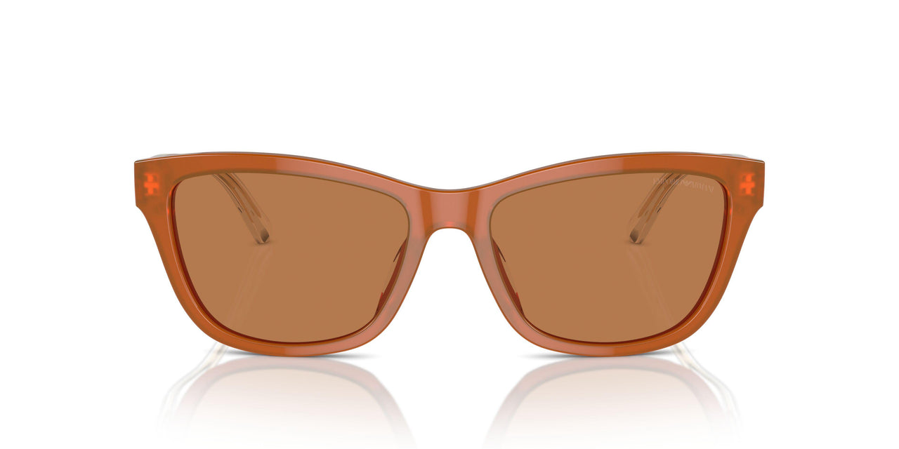 609773 - Orange - Brown