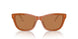 609773 - Orange - Brown