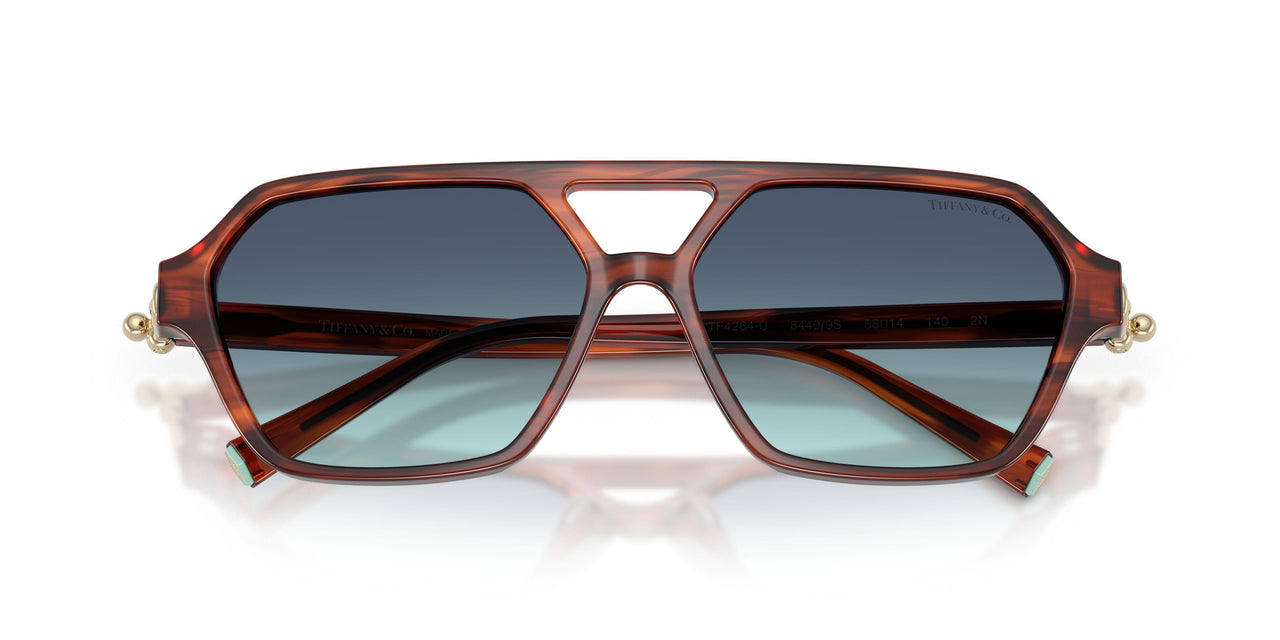 84409S - Tortoise - Gradient Blue