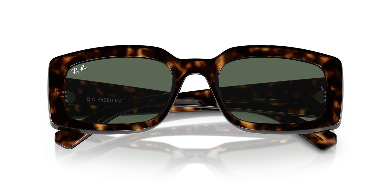 135971 - Tortoise - Dark Blue