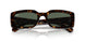 135971 - Tortoise - Dark Blue