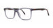 BLTRTS - Blue/Tortoise
