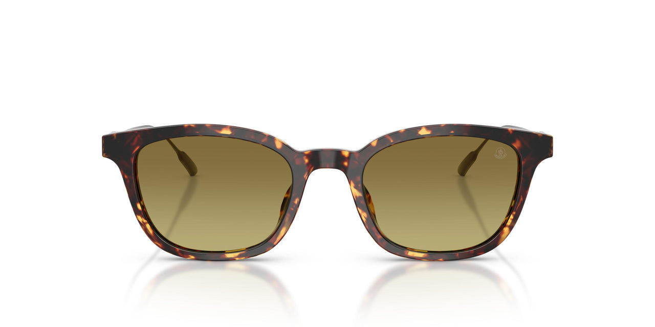 30382A - Brown - Gradient Green
