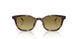 30382A - Brown - Gradient Green