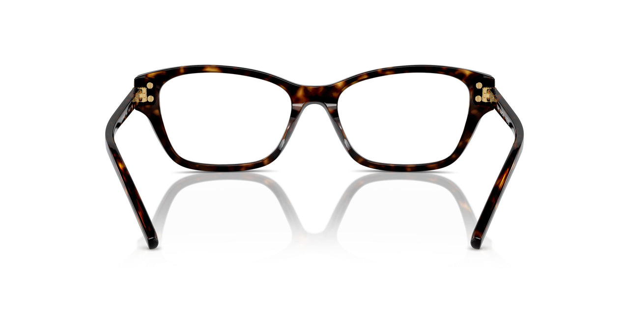 1964 - Tortoise