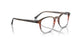 8251 - Brown - Clear