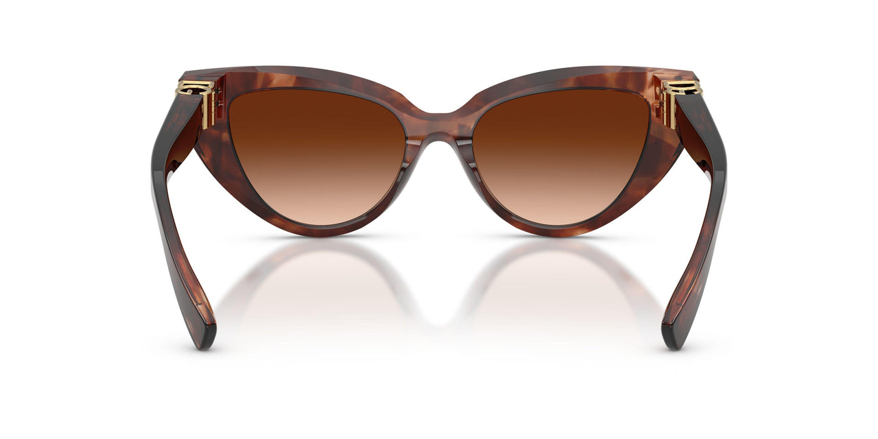 322274 - Red - Brown Gradient