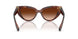 322274 - Red - Brown Gradient