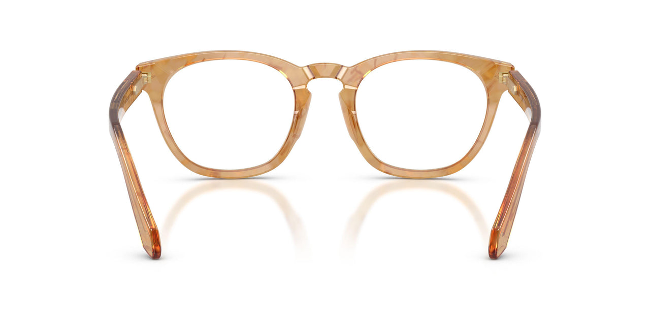 6300 - Tortoise