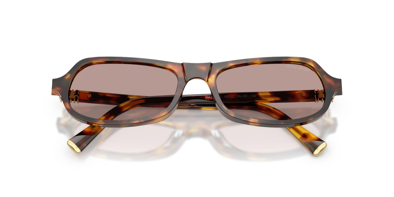 14L20I - Tortoise - Light Purple Brown