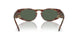 597771 - Brown - Dark Green