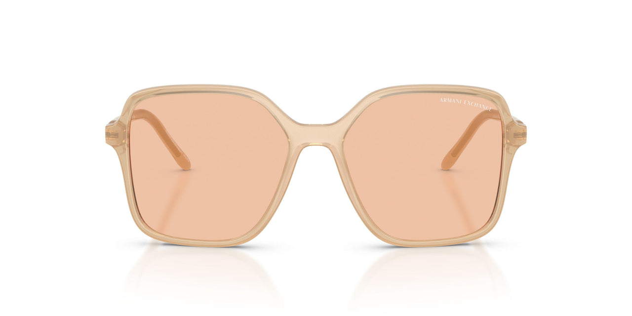 836673 - Brown - Light Brown