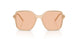 836673 - Brown - Light Brown