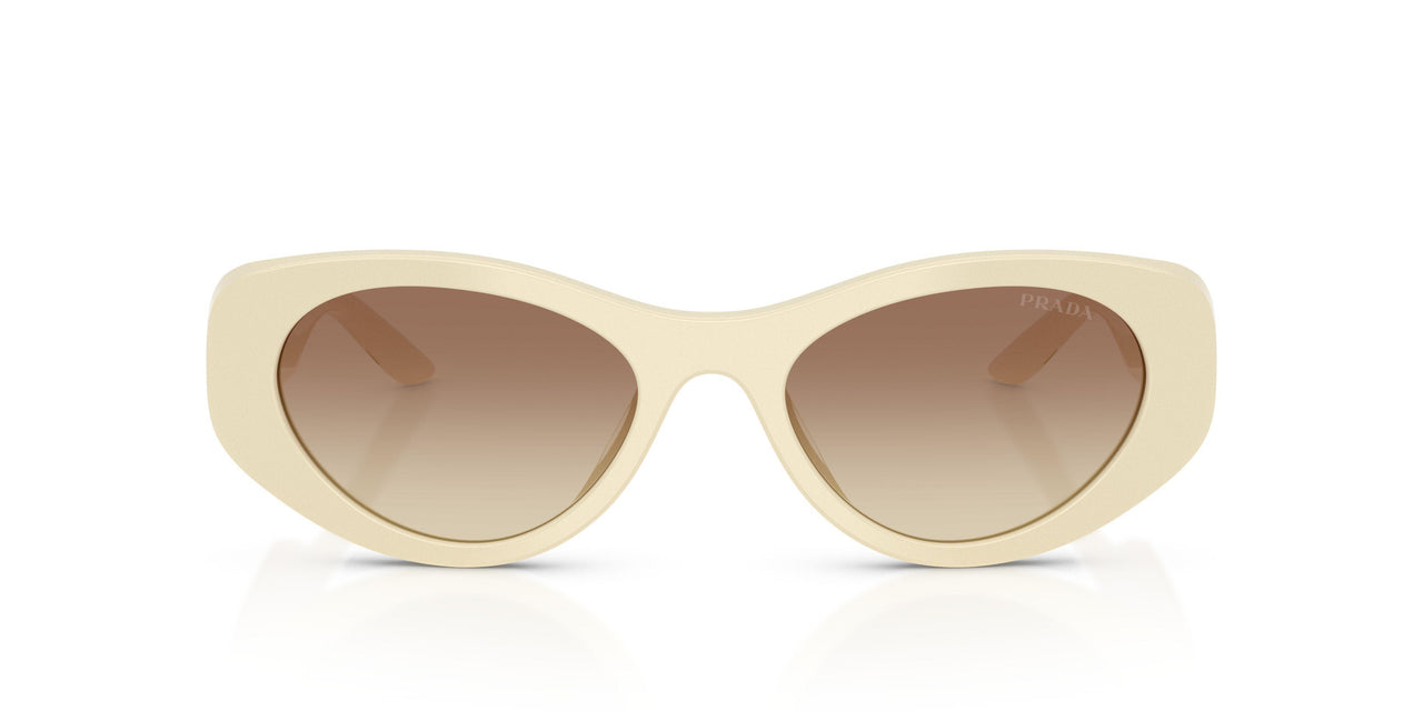 21D61B - White - Brown Gradient