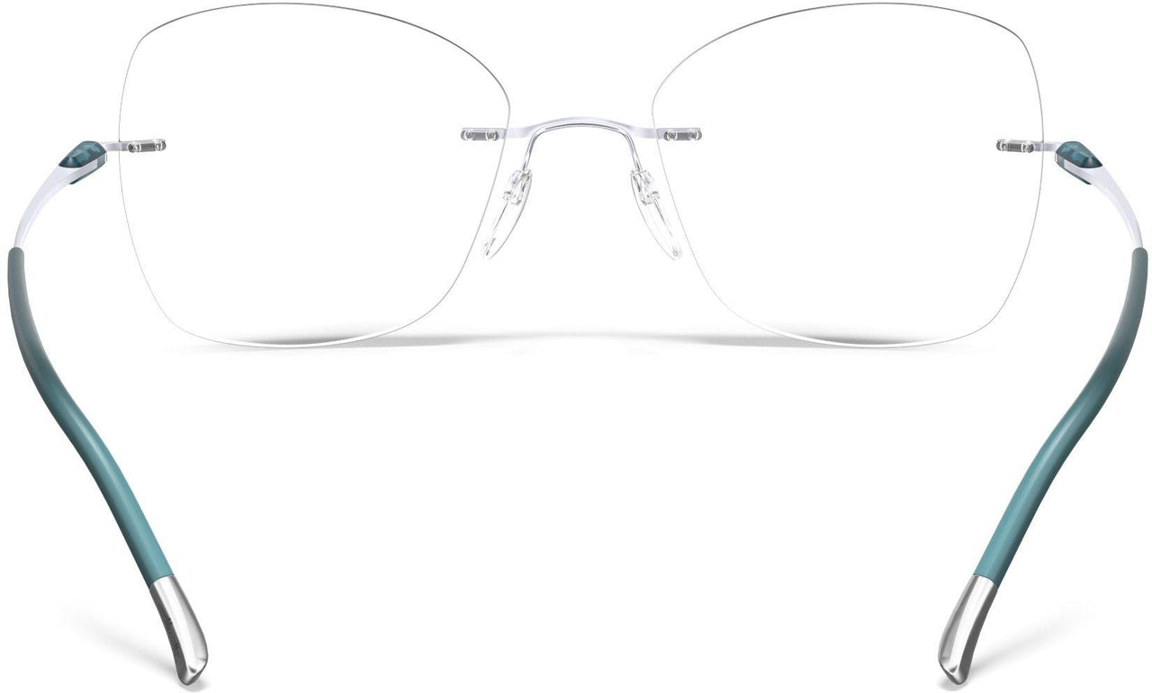7110 - silver