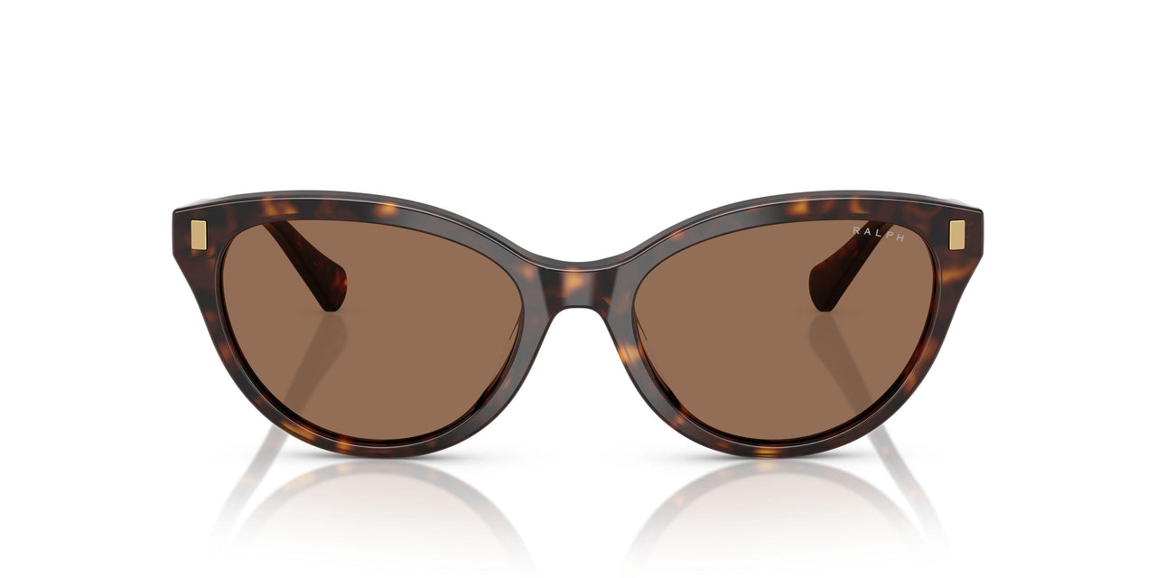 500373 - Tortoise - Brown
