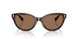 500373 - Tortoise - Brown