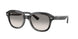 Ray-Ban Erik 4398 Sunglasses