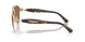 110973 - Gold - Dark Brown