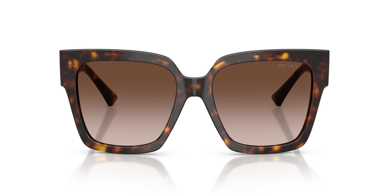 500213 - Tortoise - Gradient Brown