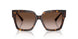 500213 - Tortoise - Gradient Brown