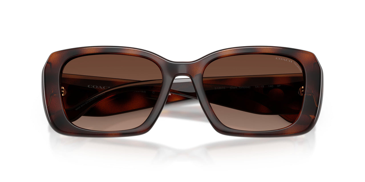 5120T5 - Tortoise - Brown Gradient Polar