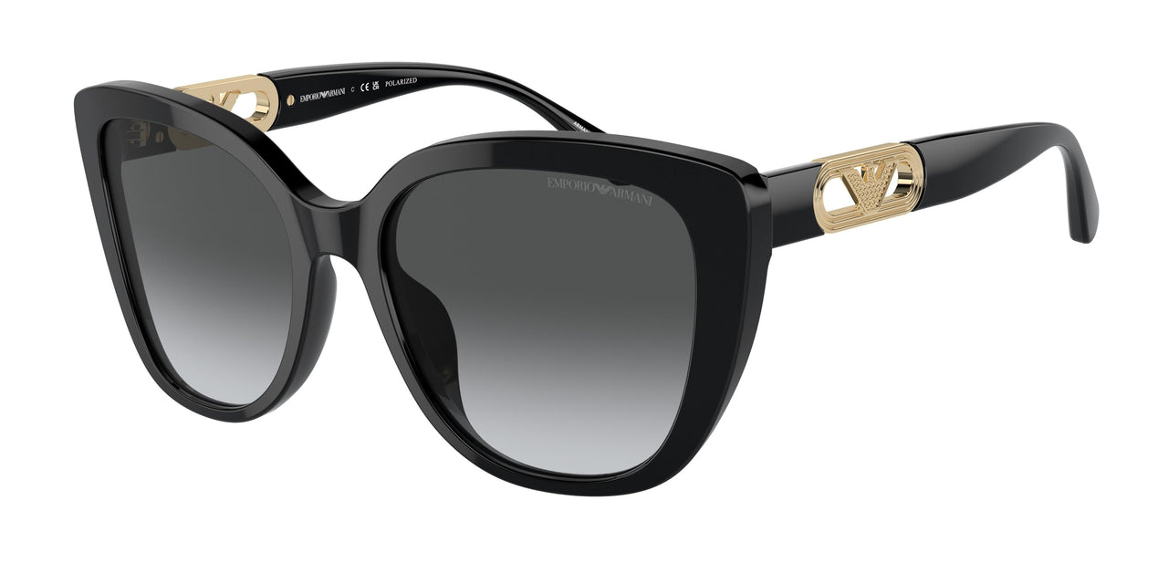 Emporio Armani 4214U Sunglasses