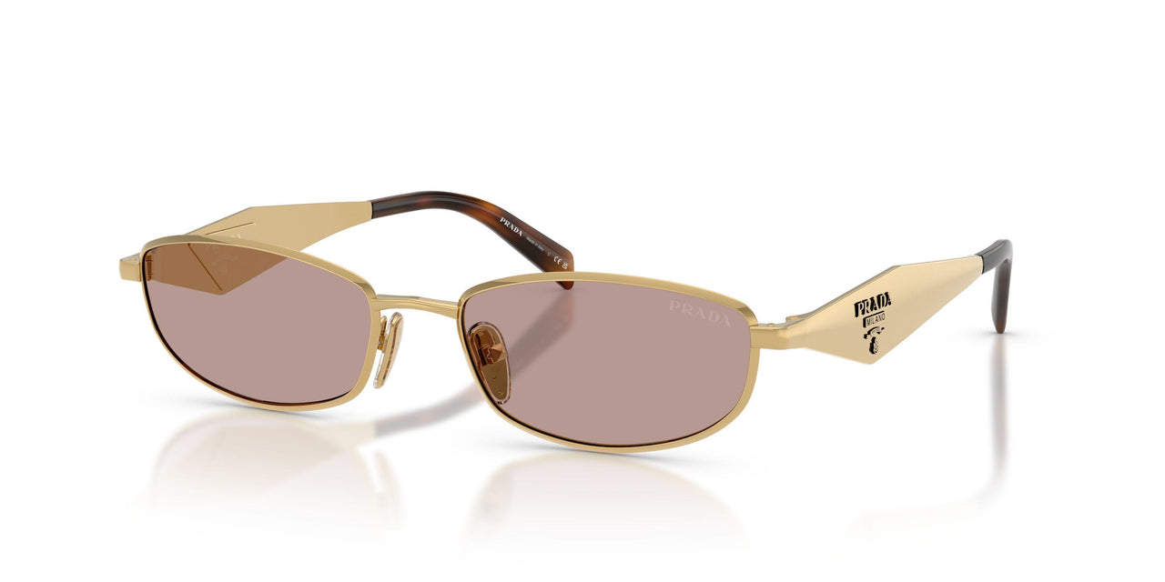 5AK20I - Gold - Light Purple Brown