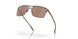 604803 - Brown - Prizm Tungsten Polarized
