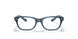 3667 - Blue