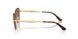 848/73 - Gold - Dark Brown