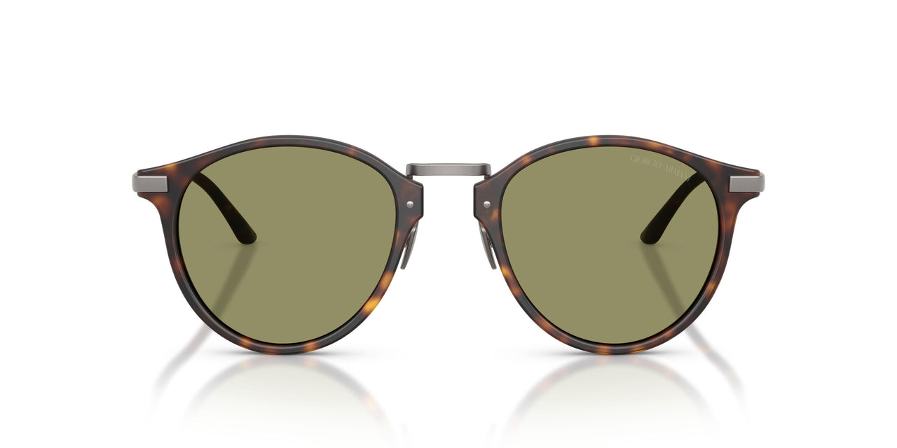640353 - Tortoise - Green