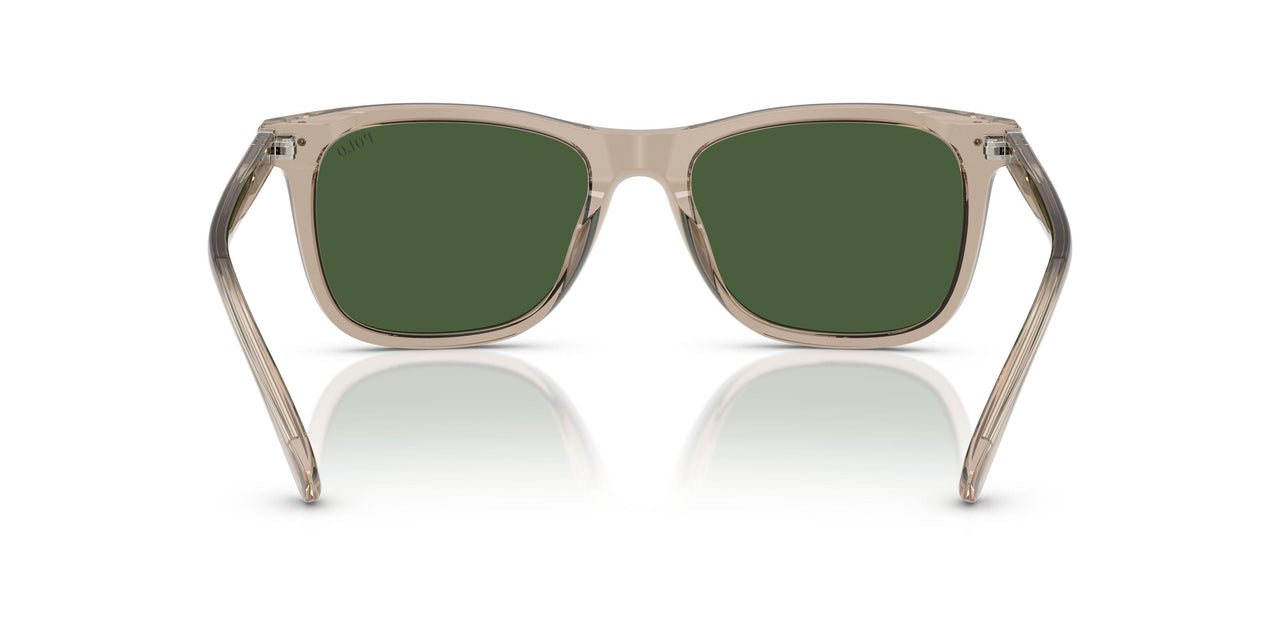 620171 - Brown - Bottle Green
